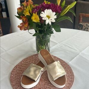Italian Shoemakers Metallic Slide Sandals